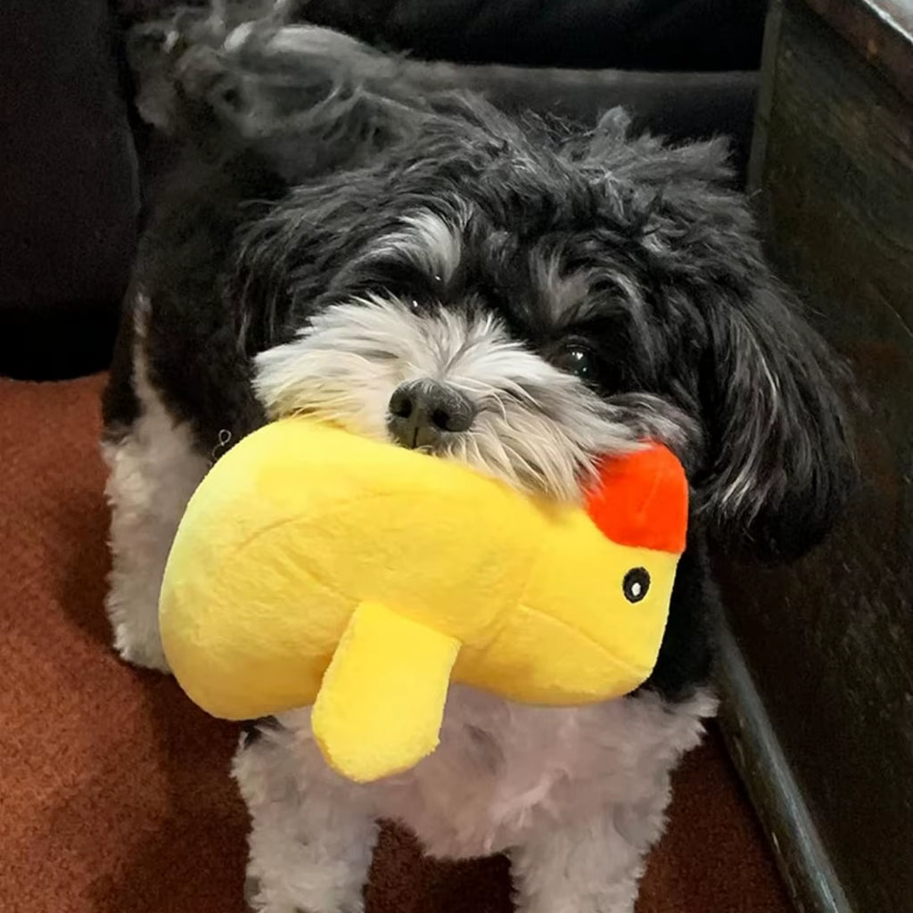 12 Piece Set of Plush Animal Dog Toys, Dog Squeaking Toys, Cute Pet Plush Toys, Filled Puppy Chewy Toys Suitable for Small and M