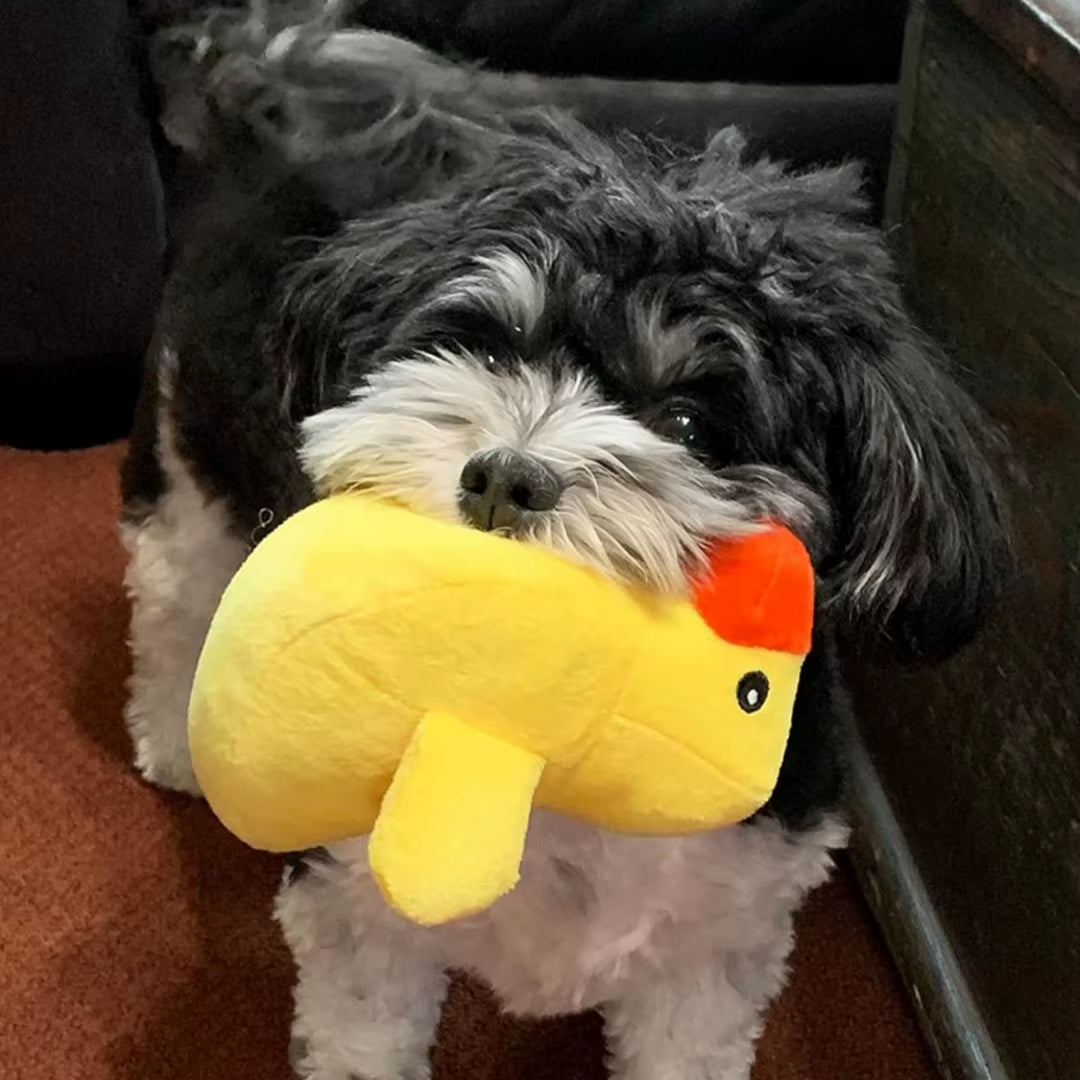 12 Piece Set of Plush Animal Dog Toys, Dog Squeaking Toys, Cute Pet Plush Toys, Filled Puppy Chewy Toys Suitable for Small and M